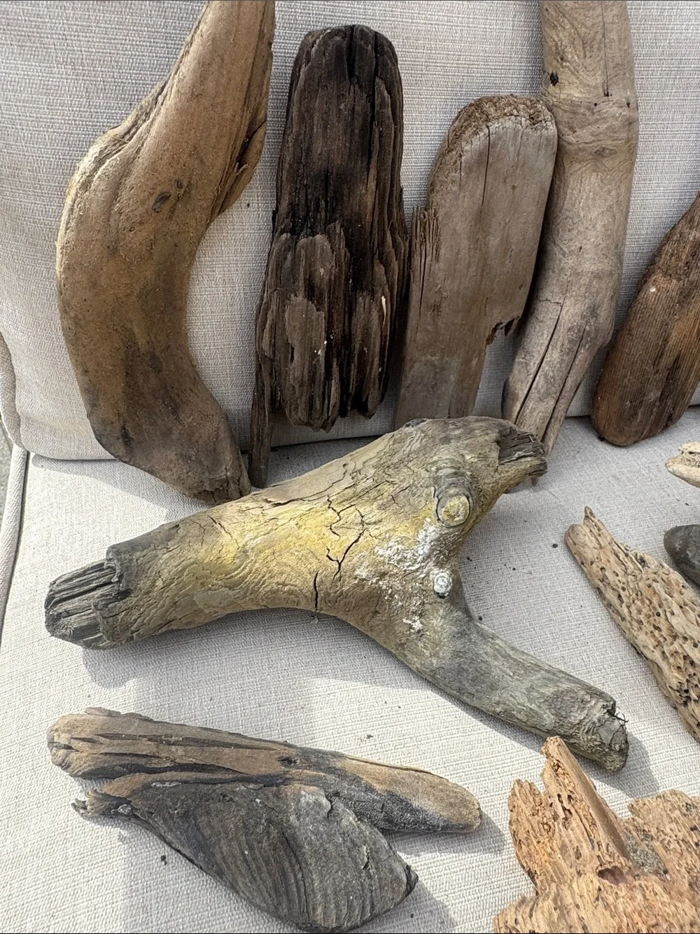 19 pc (5 lb shipped) Natural Driftwood for Craft, Projects, Upcycle& Decor